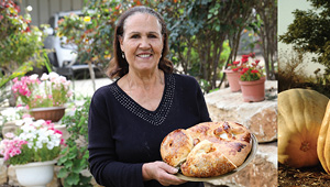 עליה גבאי