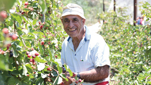 בוסתן רפי