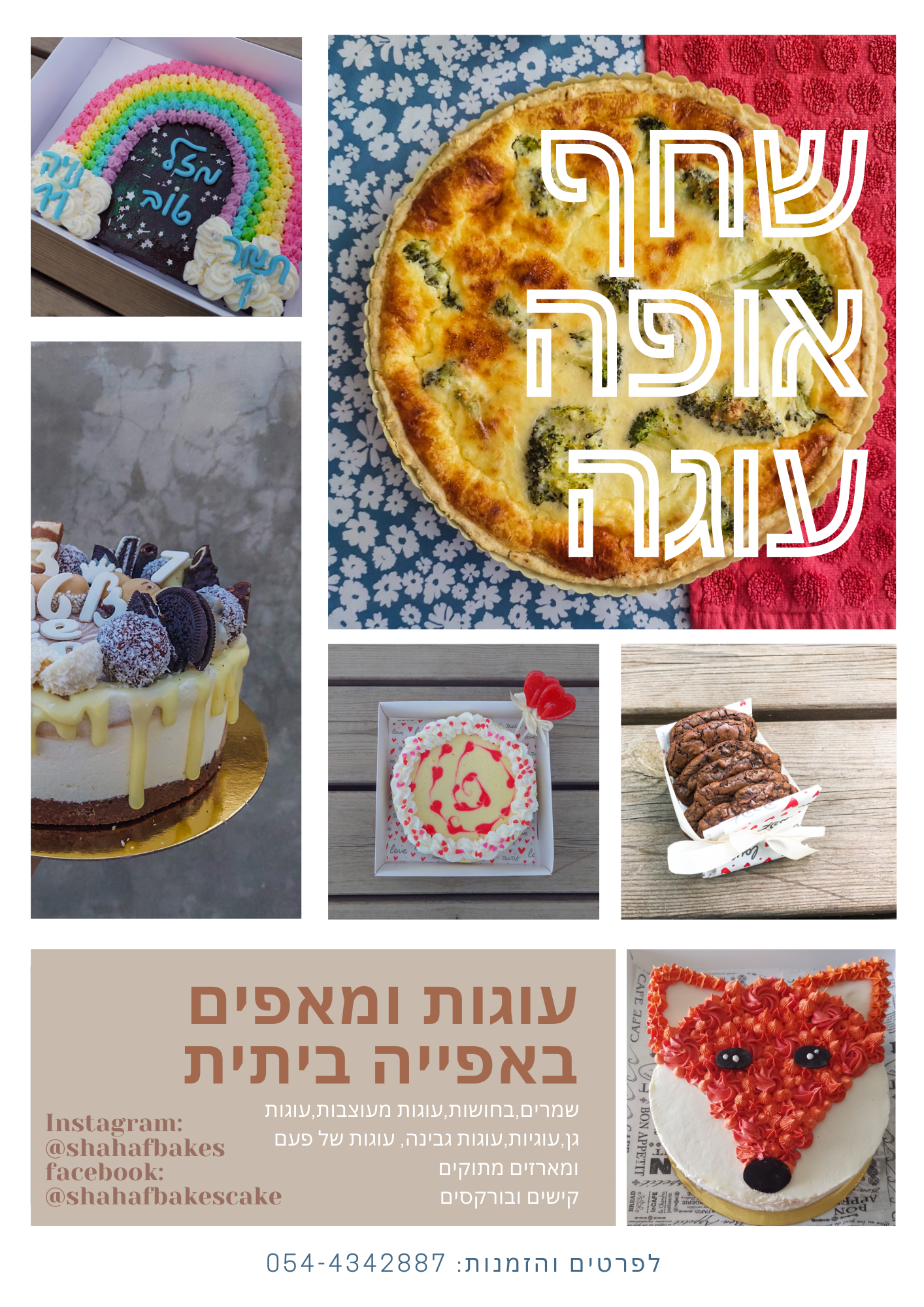 שחף האופה