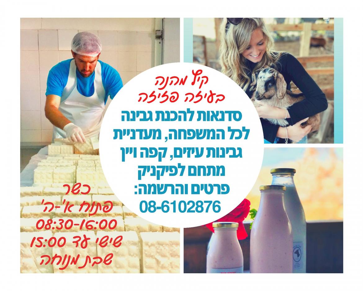 סדנאות קיץ להכנת גבינה כפרית לכל המשפחה בעיזה פזיזה
