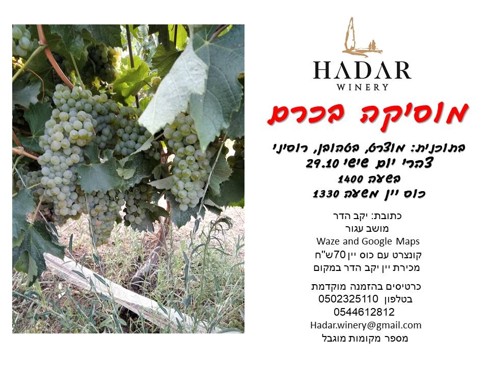 קונצרט מוסיקה קלאסית עם כוס יין  ביקב הדר במושב עגור.
