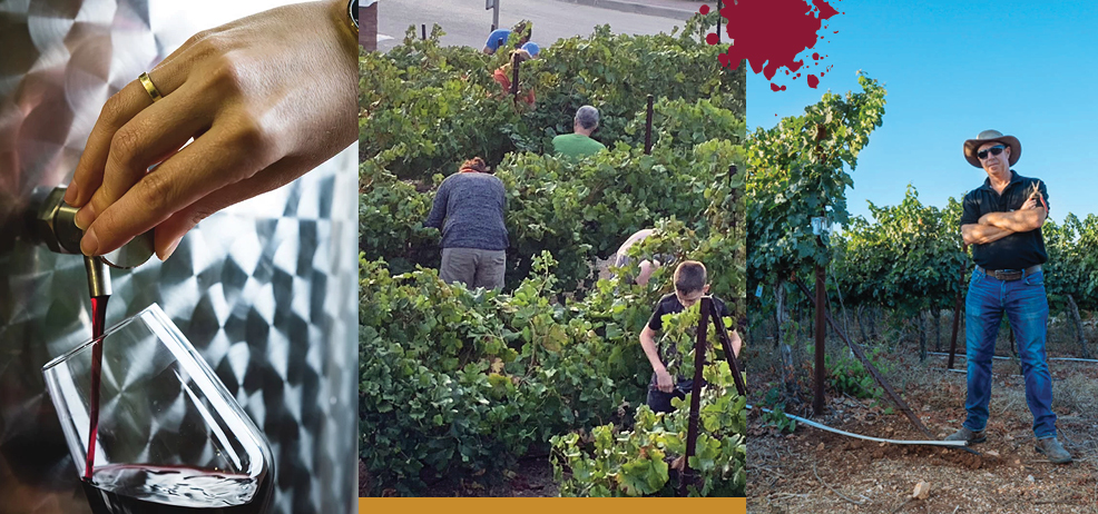 סיור מספר 3