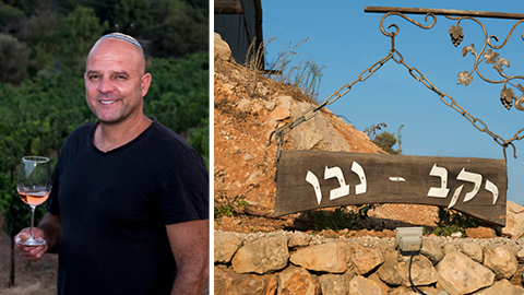 יקב נבו