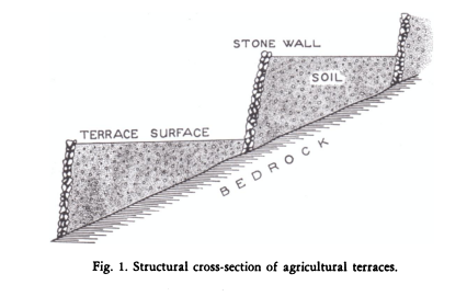 Agricultural Terraces in the Judean Hills