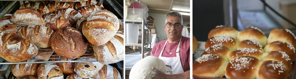 מאפיית ברדלי אורן שמואלי