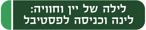לילה של יין וחוויה: לינה וכניסה לפסטיבל