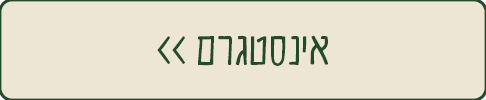 אינסטגרם
