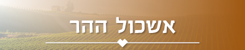 אשכול ההר