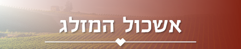 אשכול המזלג
