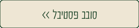 סובב פסטיבל
