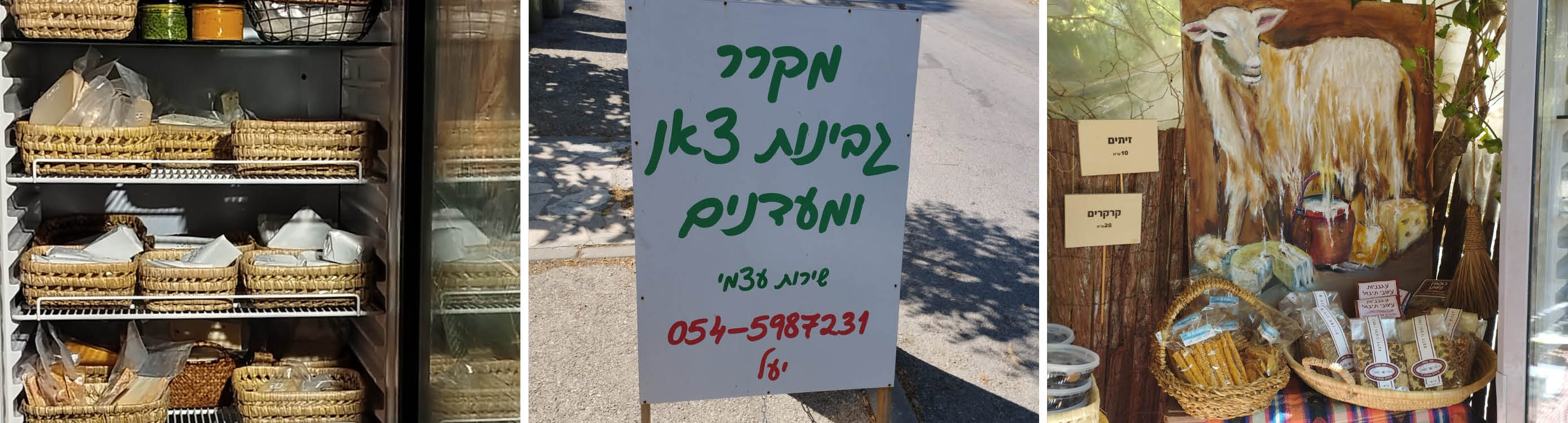 המקרר של יעל