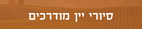 סיורי יין מודרכים