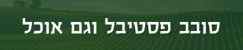 סובב פסטיבל