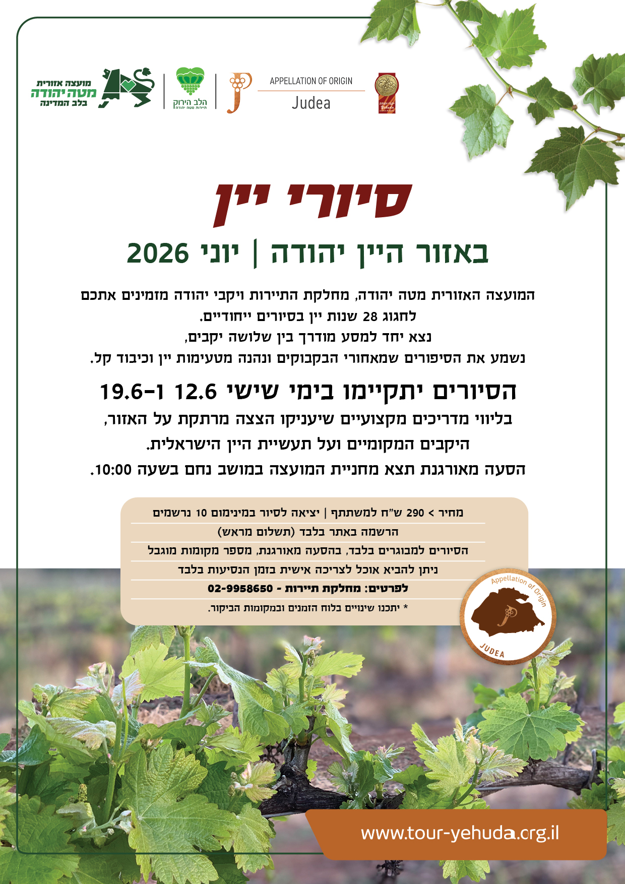 פלייר סיורי יין