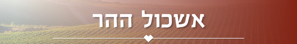 אשכול ההר
