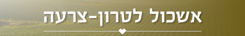 אשכול לטרון צרעה