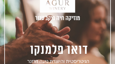 פלמנקו.png