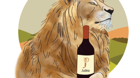 Appellation of reigin judea.png