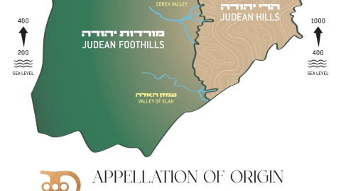 judea map_page-0001.jpg